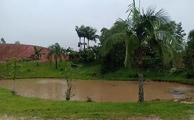Familia Cataneo
